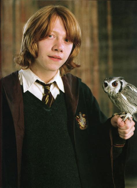 pigwidgeon harry potter